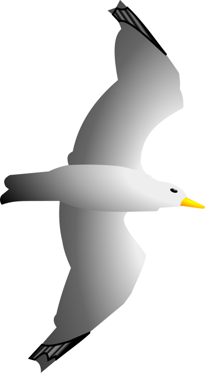 Seagull Remix clipart