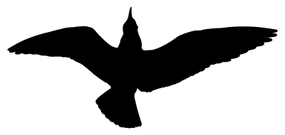 Seagull Silhouette clipart