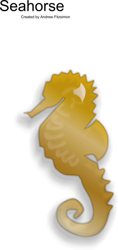 Seahorse clipart