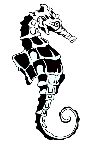 Seahorse clipart