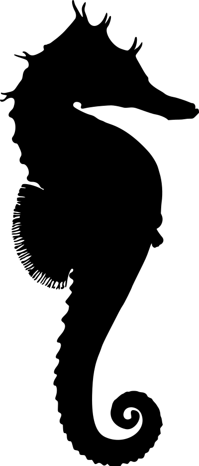 Seahorse 3 (silhouette) clipart