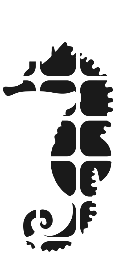Seahorse clipart