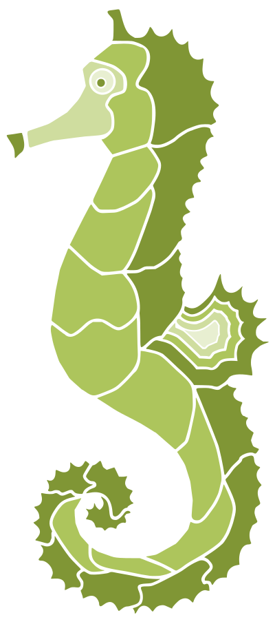 Seahorse 4 (colour 2) clipart