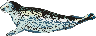 Seal 3 clipart