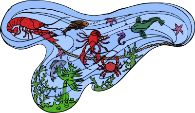 Sealife of the Sea clipart