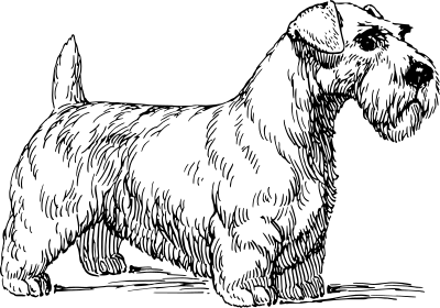 Sealyham clipart