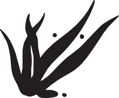 Seaweed clipart