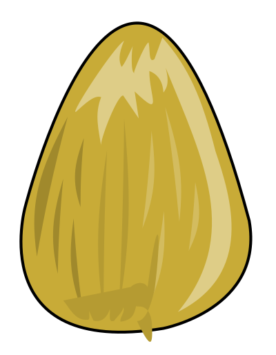 Seed - Earth Tone clipart