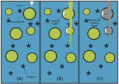 Self-Healing Coatings Using Nanocapsules clipart