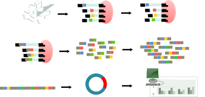 Serial analysis of gene expression clipart