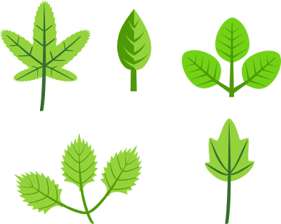 Set of leaves clipart