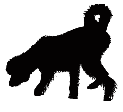 Shaggy Wet Dog Silhouette clipart