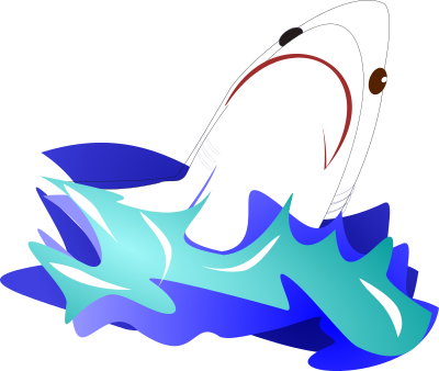 Shark clipart