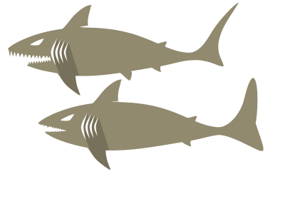 Shark clipart