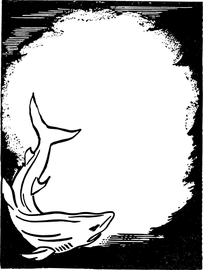 Shark Frame clipart