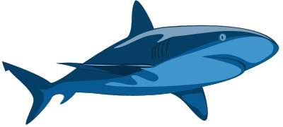 Shark Pure clipart