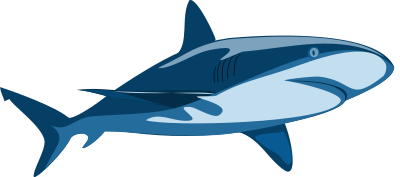 Shark Shaded clipart
