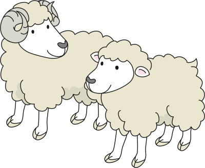 Sheep (#1) clipart