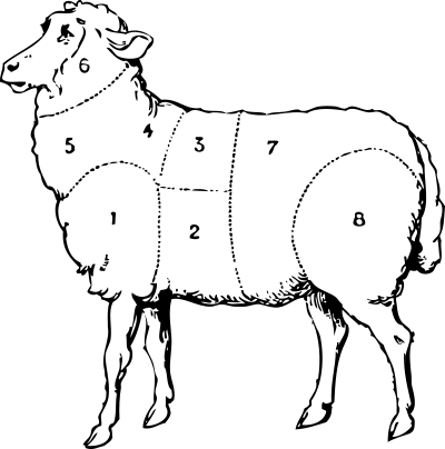 Sheep clipart