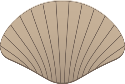 Shell clipart