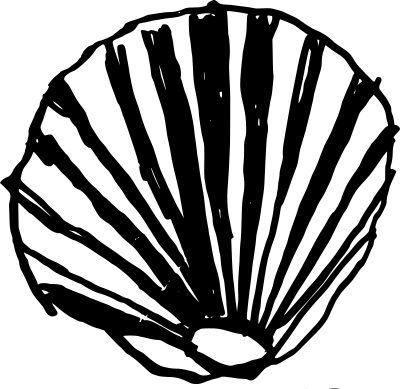 Shell clipart