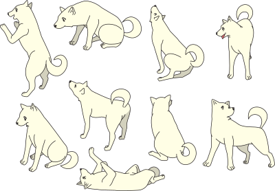 Shiba Inu Dog Collection (different poses) clipart