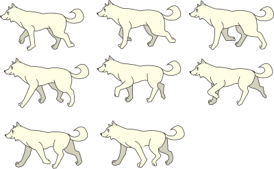 Shiba Inu Dog Walking Collection (different poses) clipart