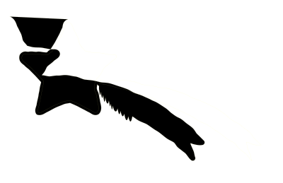 Shooting Star clipart