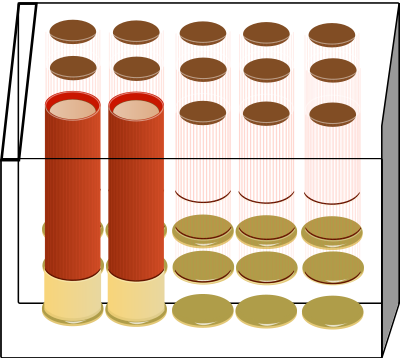 Shotgun Shell Pack clipart