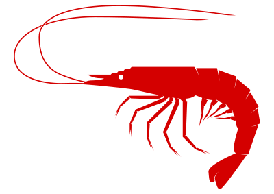 Shrimp clipart