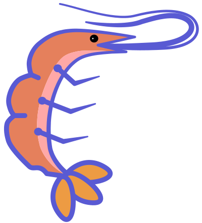 Shrimp clipart