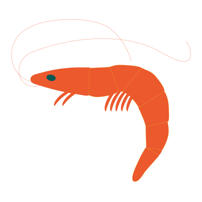 Shrimp clipart