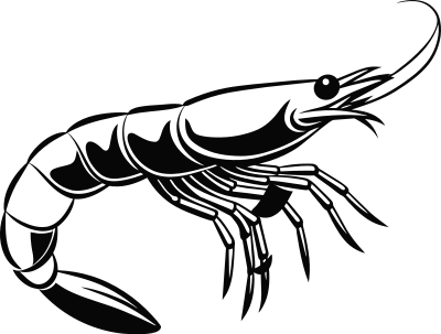 Shrimp clipart