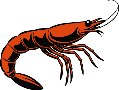 Shrimp - Colour Remix clipart