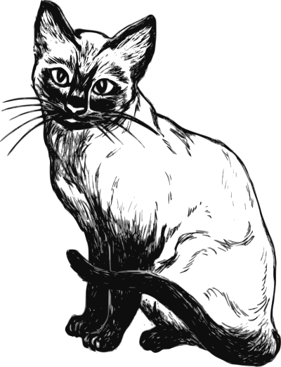 Siamese cat clipart