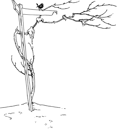 Signpost 3 clipart