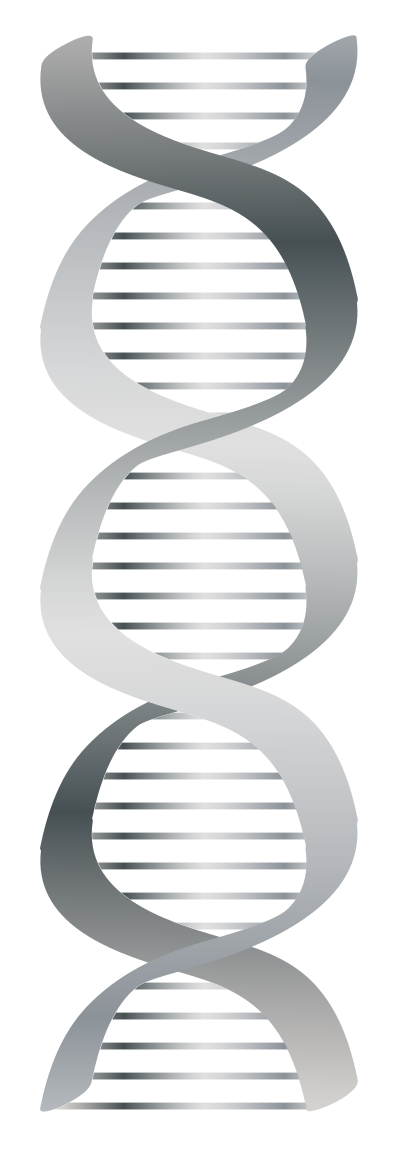 Silver DNA icon clipart