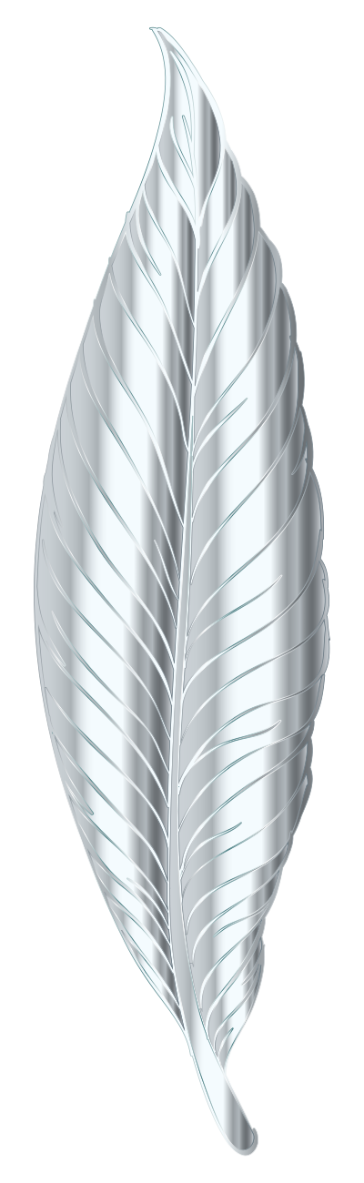 Silver Feather clipart
