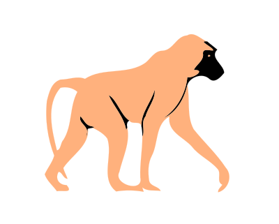 Simple baboon clipart