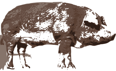 Simple Boar clipart
