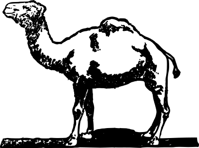 Simple Camel clipart
