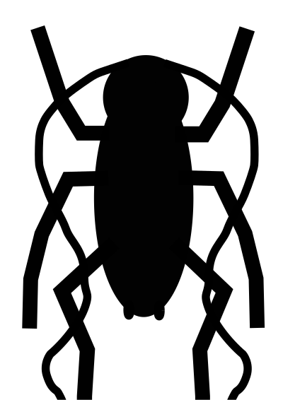 Simple Cockroach clipart