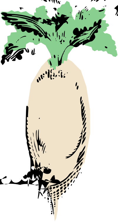 Simple Daikon Radish clipart