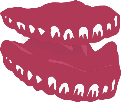 Simple Dentures clipart