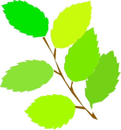 Simple spring, new leaves clipart