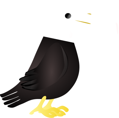 Simple Toucan clipart