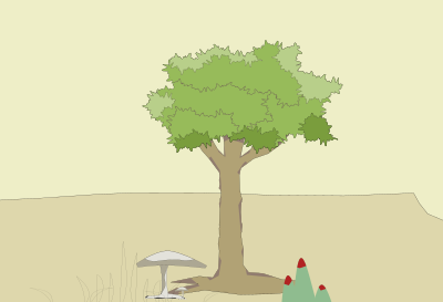 Simple Tree clipart