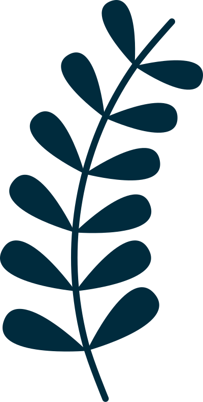 Simple vine clipart