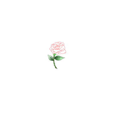 Single Rose clipart