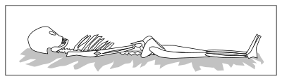 Skeleton in coffin clipart